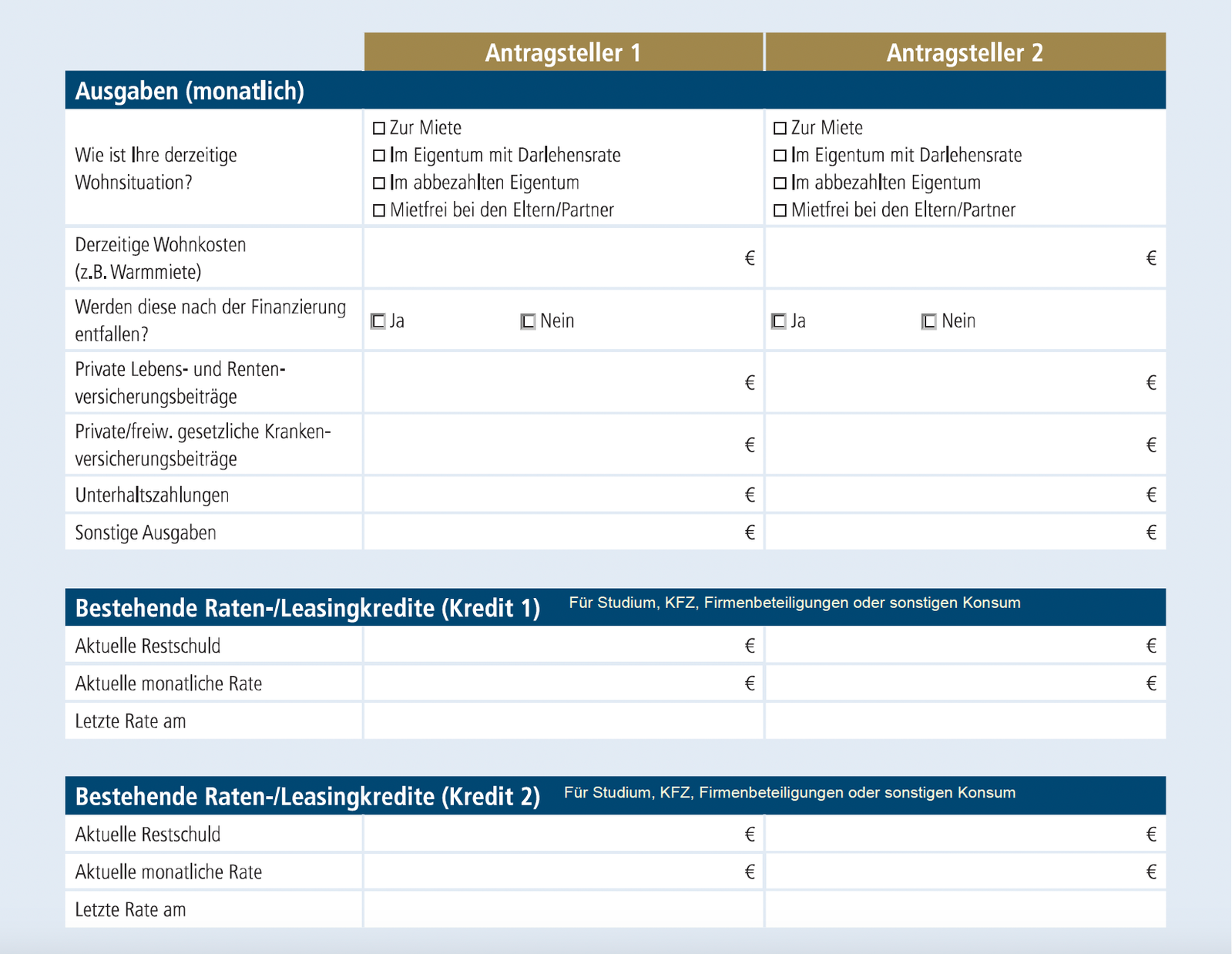 Selbstauskunft Einnahmen